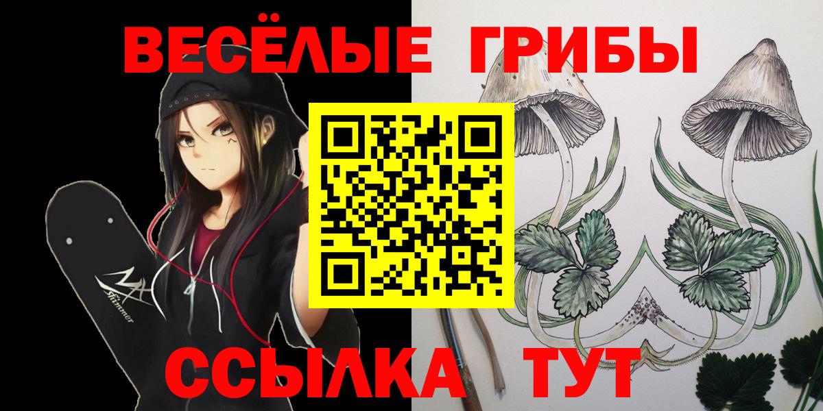 Псилоцибиновые грибы Cubensis Углич