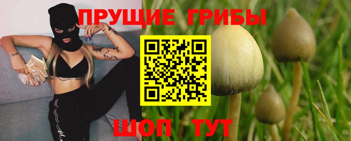 Псилоцибиновые грибы мухоморы  Вход с VPN  сколько стоит  Псилоцибиновые грибы мухоморы  Углич 